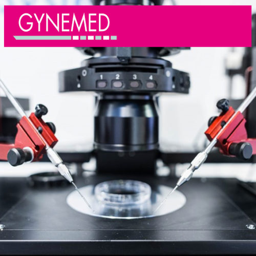 Gynemed